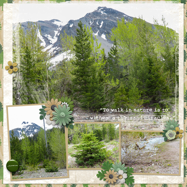 Walk in Nature