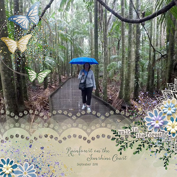 Walk in the Rainforest