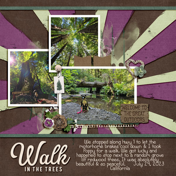 Walk in the Trees