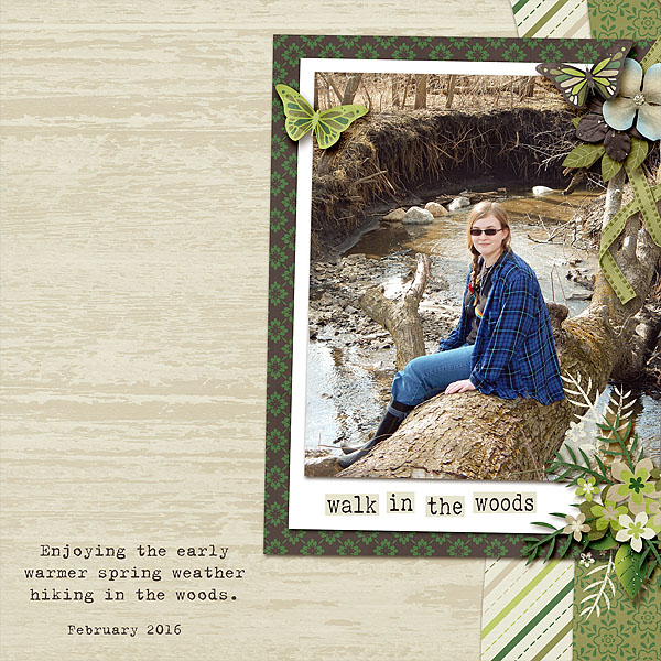 Walk in the Woods