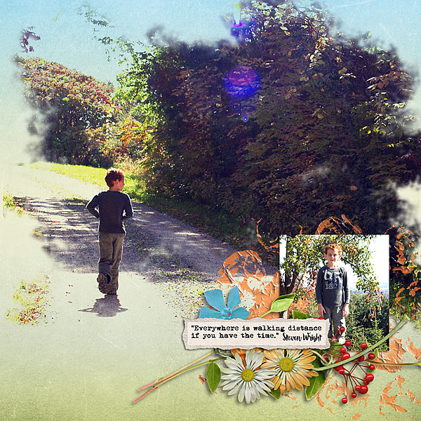 Walk in the Woods