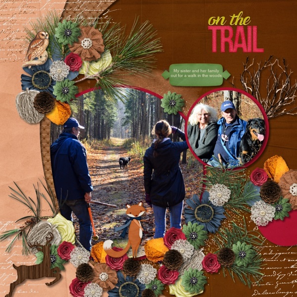 Walk in The Woods