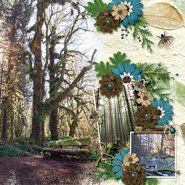 Walk in the Woods