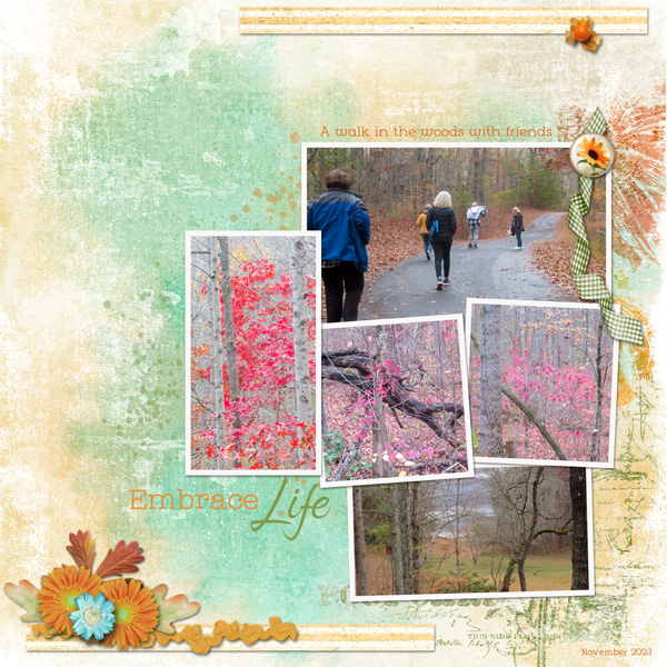 Walk in the Woods