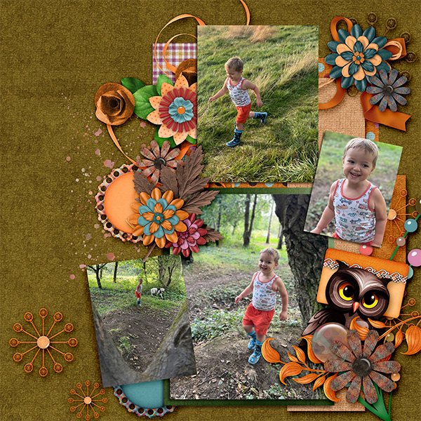 Walk In The Woods