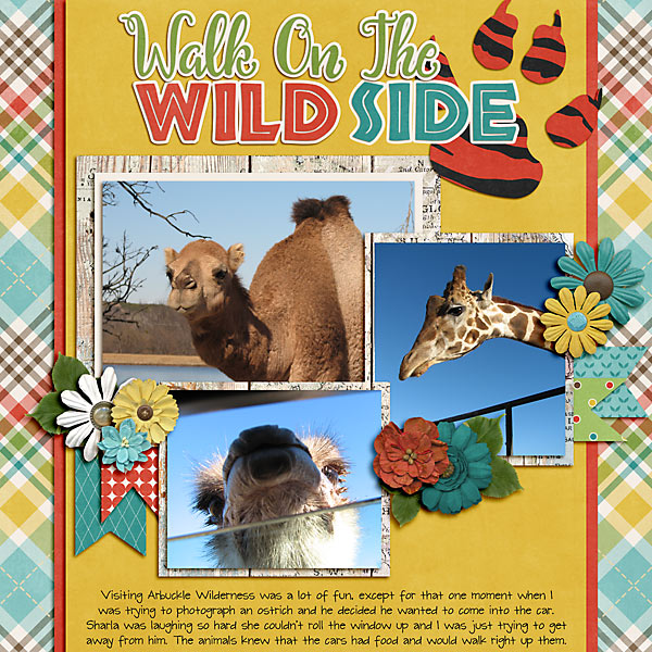 Walk On The Wild Side
