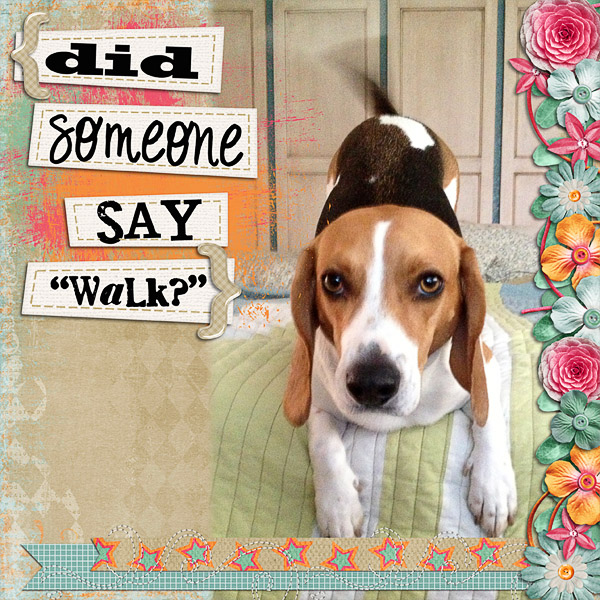 Walk?