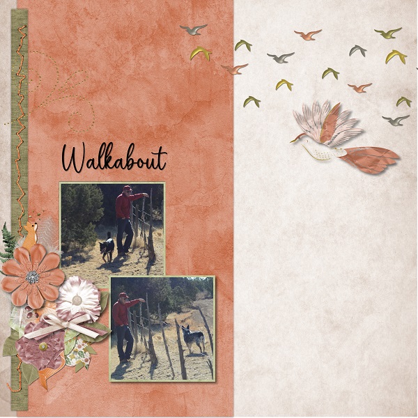 Walkabout