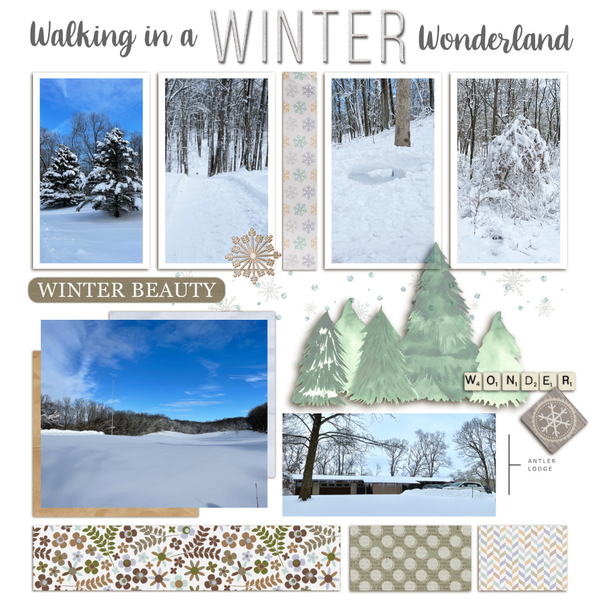 Walking in a Winter Wonderland-2