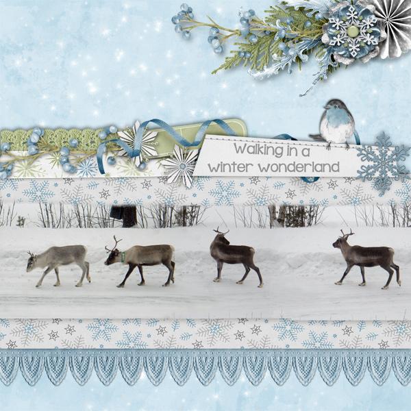 Walking-in-a-winter-wonderland1