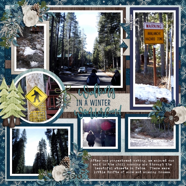 Walking In Winter