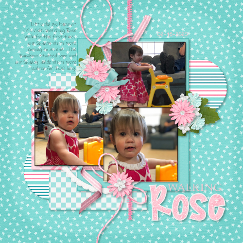 Walking Rose