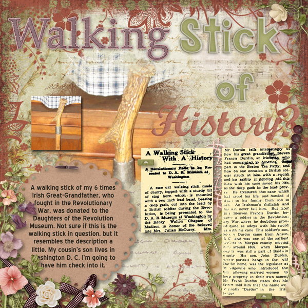 Walking Stick Of History