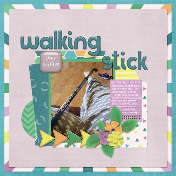 walking stick