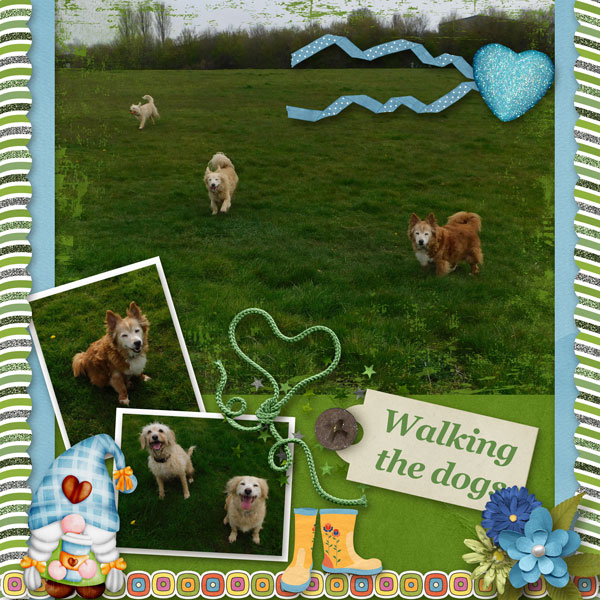 Walking the dogs
