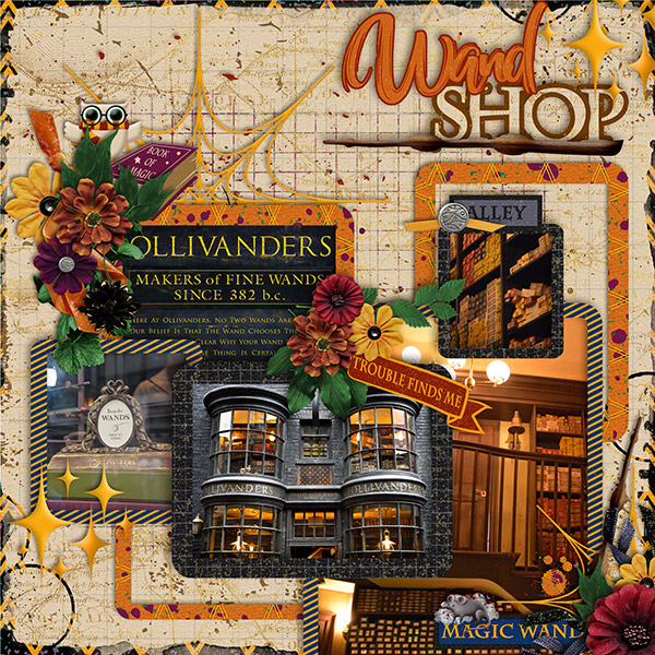 Wand Shop