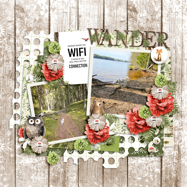 Wander