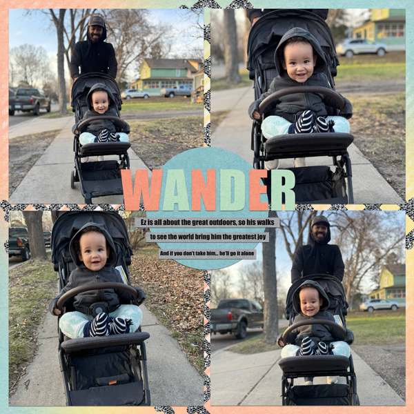 Wander