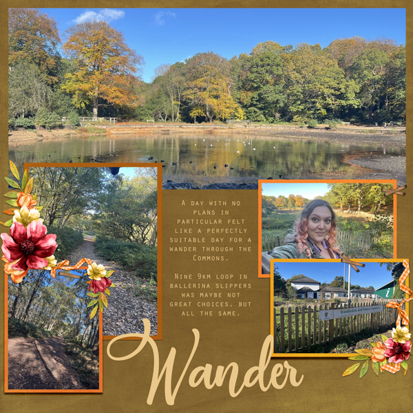 Wander