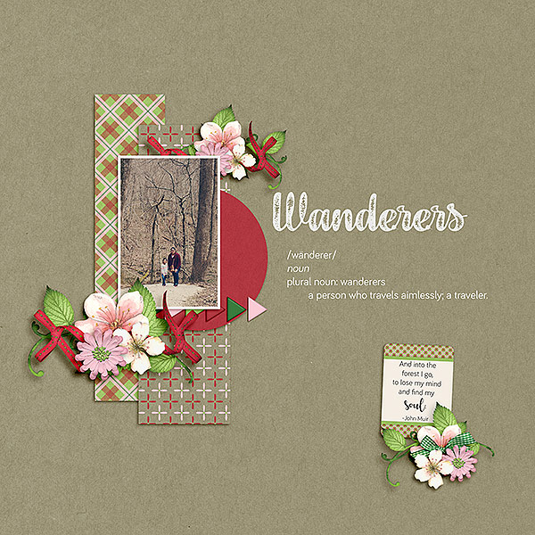 Wanderers