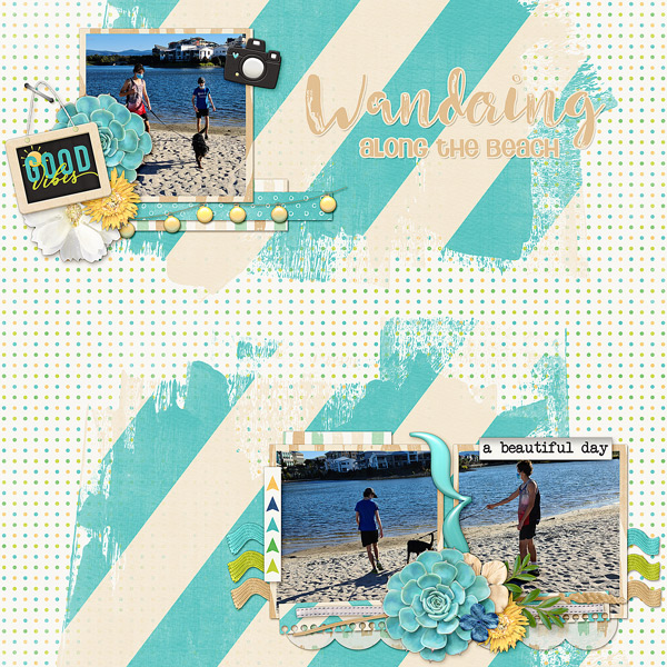 Wandering Along the Beach