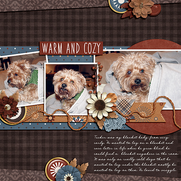 Warm and Cozy