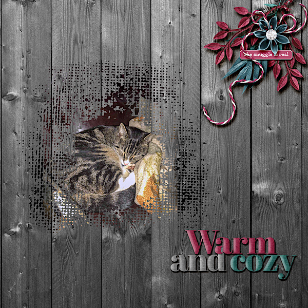 Warm and Cozy