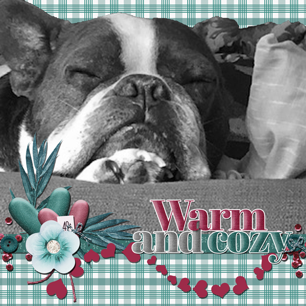 WARM AND COZY