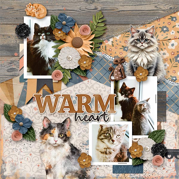 Warm Heart