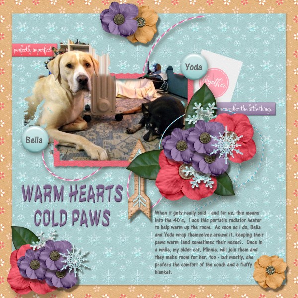 Warm Hearts, Cold Paws