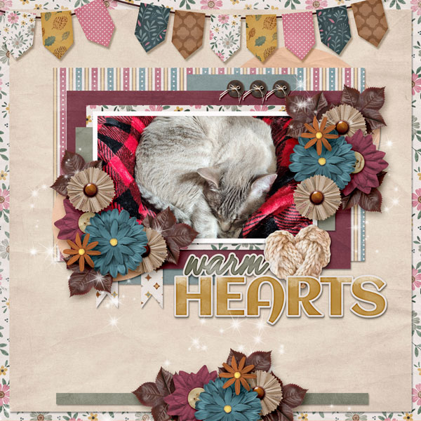 Warm Hearts