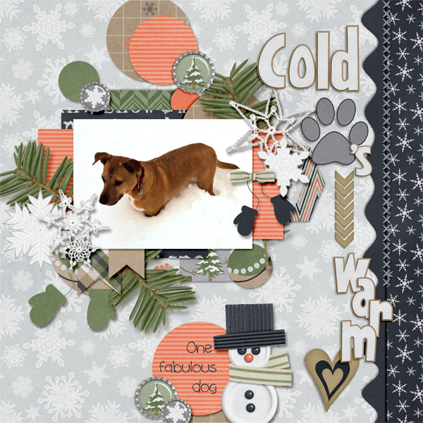 Warm Paws Cold Heart