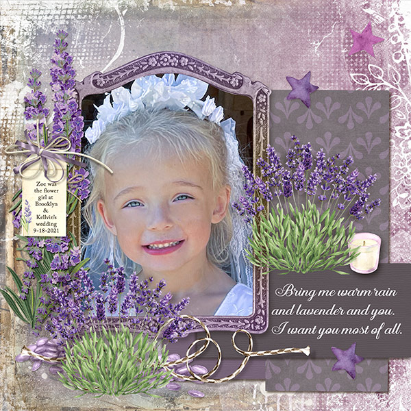 Warm Rain Lavender And You