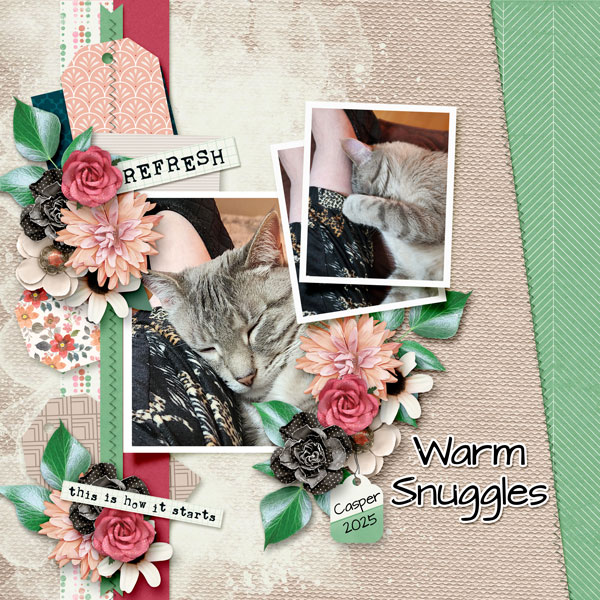 Warm Snuggles