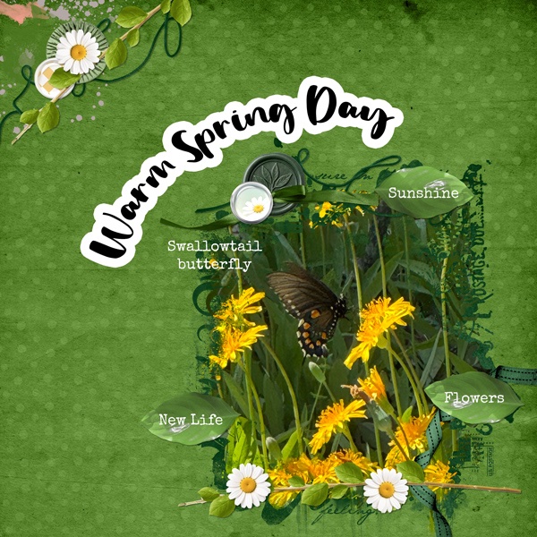 Warm Spring Day