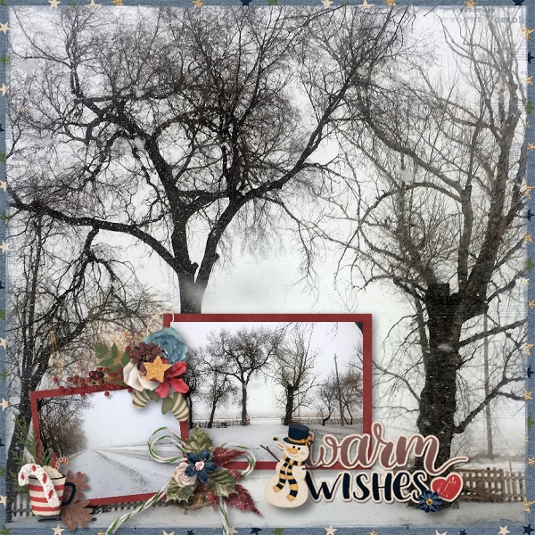 Warm Wishes