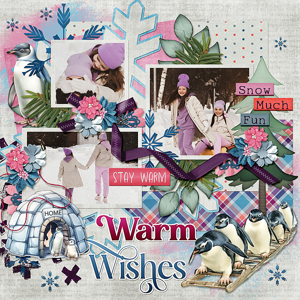 Warm Wishes