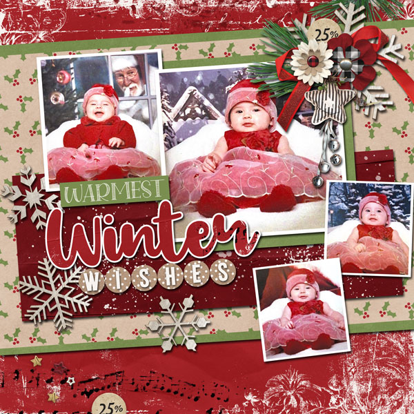 Warmest Winter Wishes