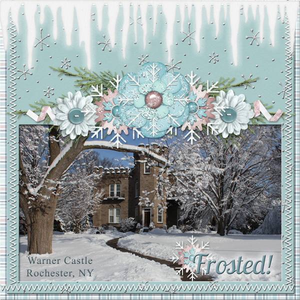 Warner Castle - Frosted!