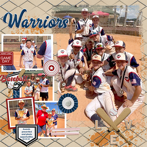 Warriors-medal awards