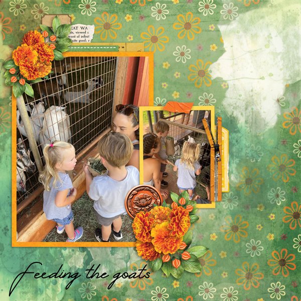 Washed Journeys Mixed 2 Temp #3-Miss Fish with Marigolds and Mimosas-The Brit Chick.jpg