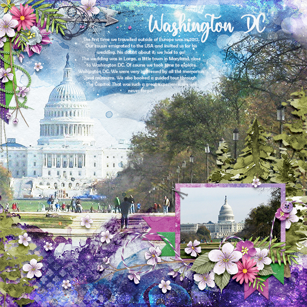 Washington DC