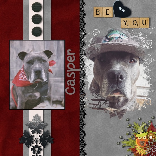 Watch Dog