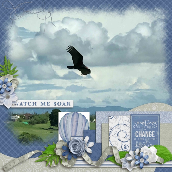 Watch me Soar