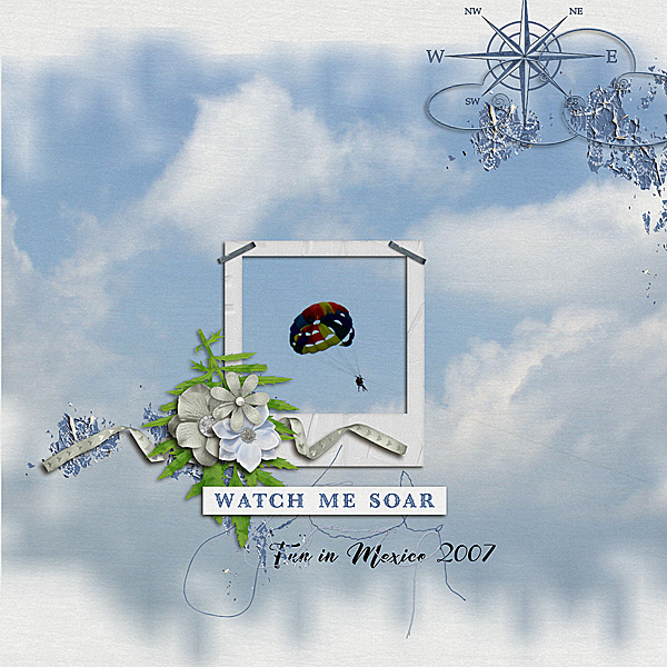 Watch me Soar
