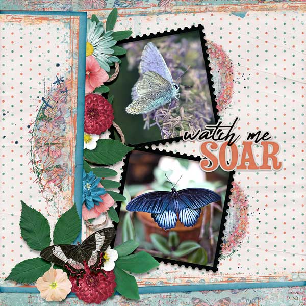 Watch Me Soar