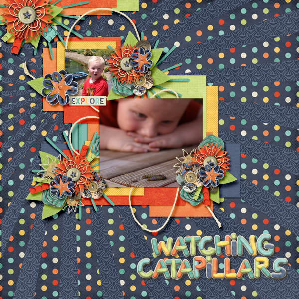 Watching Catapillars