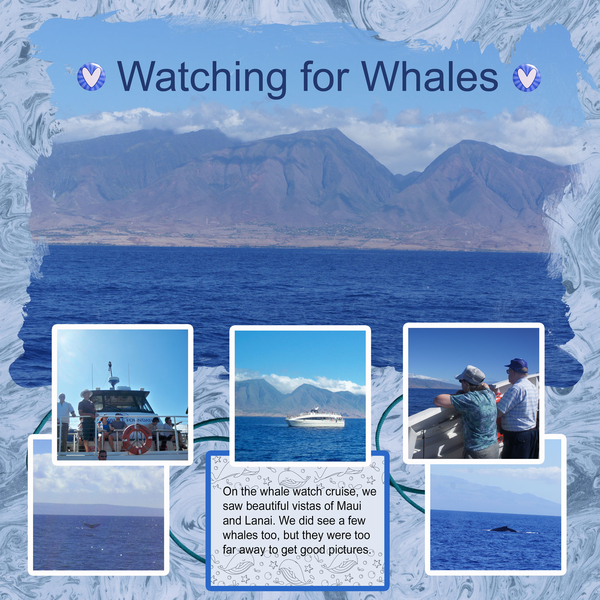 Watching for Whales