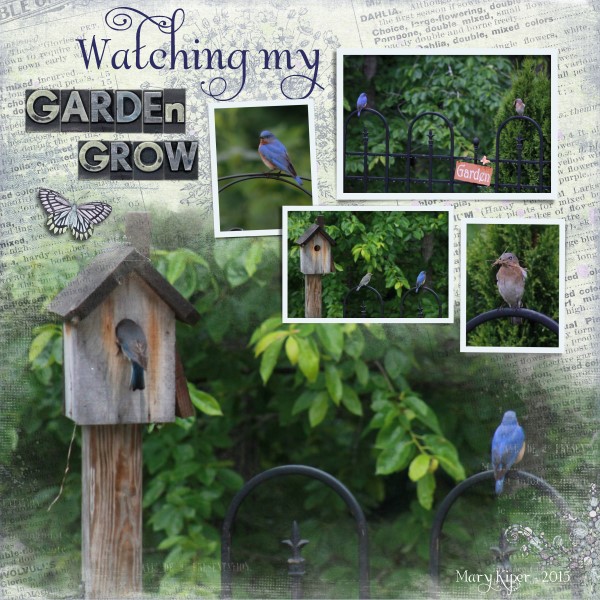 Watching My Garden Grow