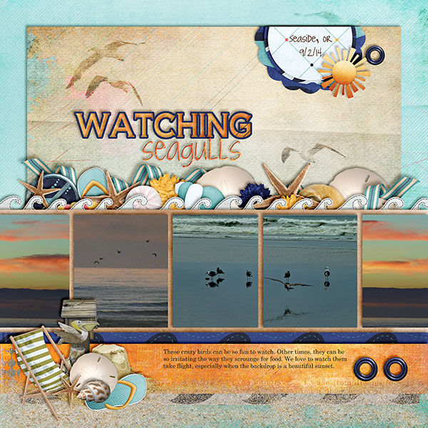 Watching Seagulls